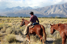 USA-California-Wild Mustangs - A Living Legacy